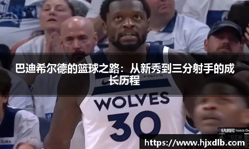熊猫体育旧版