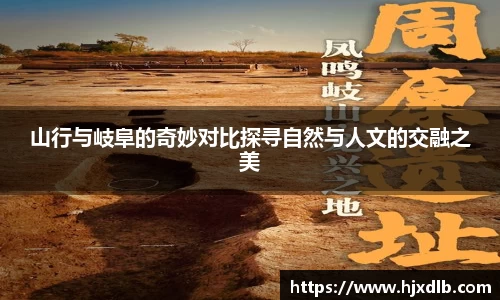 熊猫体育最新网址